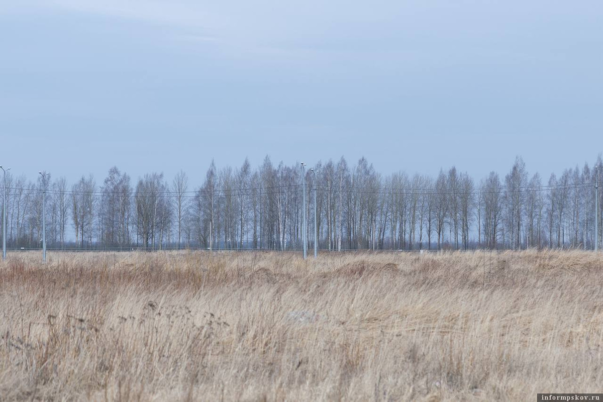 Фото: ПАИ. Фото носит иллюстративный характер