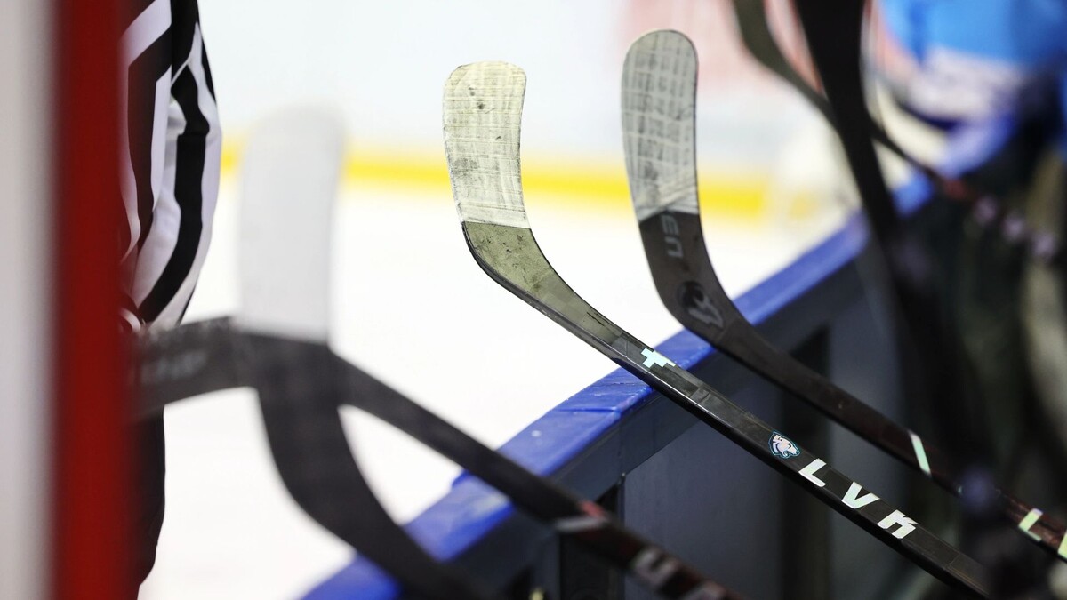    Фото: Андрей Ткачев / «Ямал-Медиа»