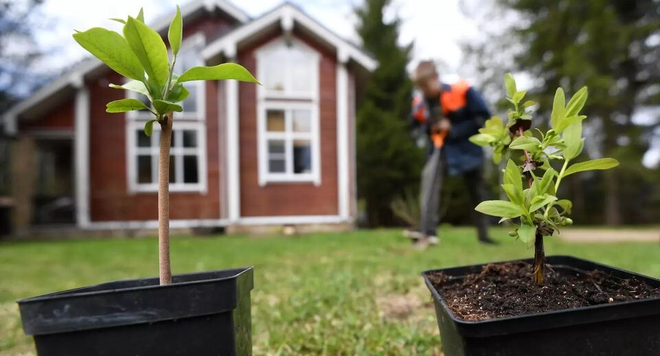    РИА «Новости»