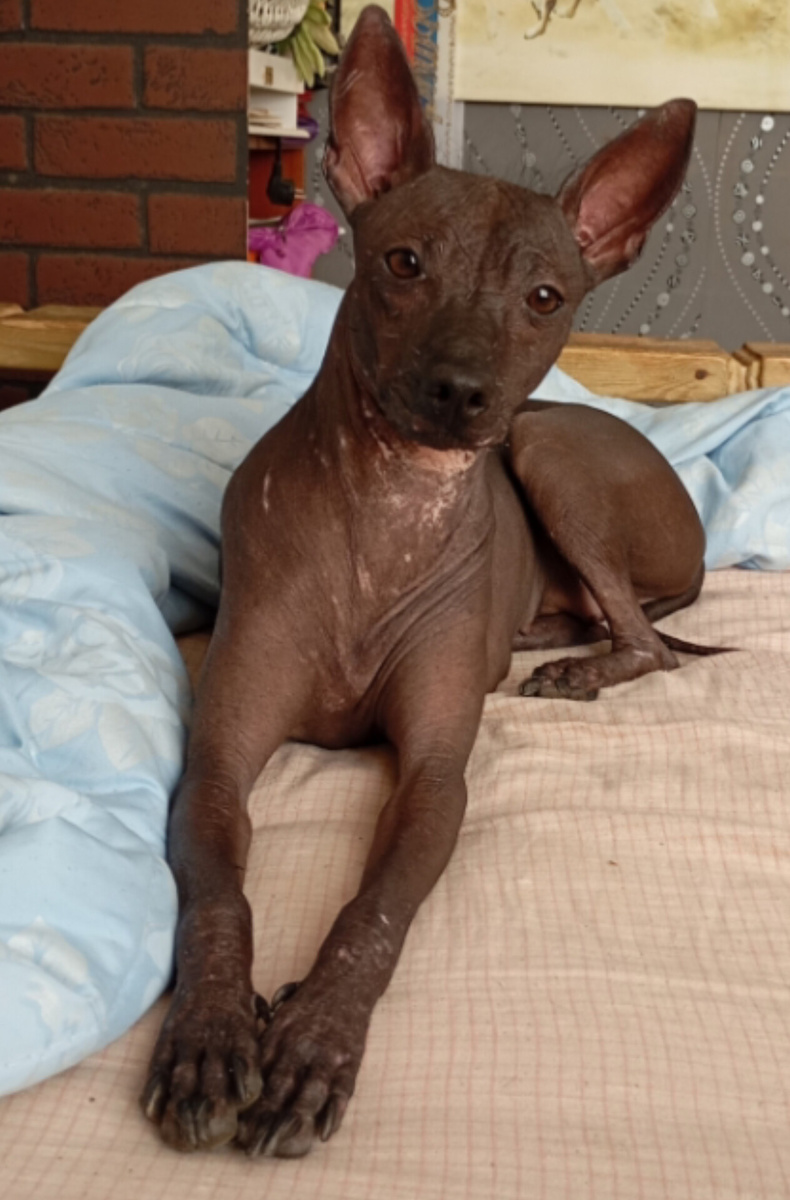 Моя умница🤗