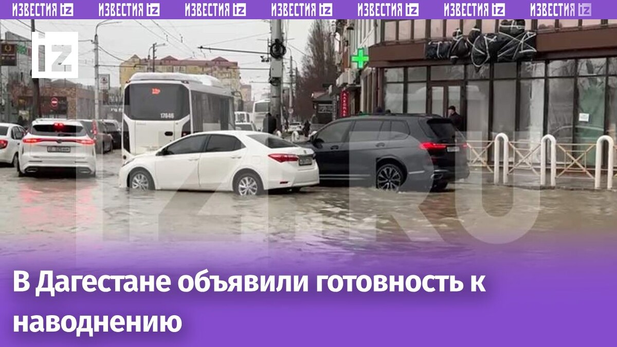 Фото: ИЗВЕСТИЯ