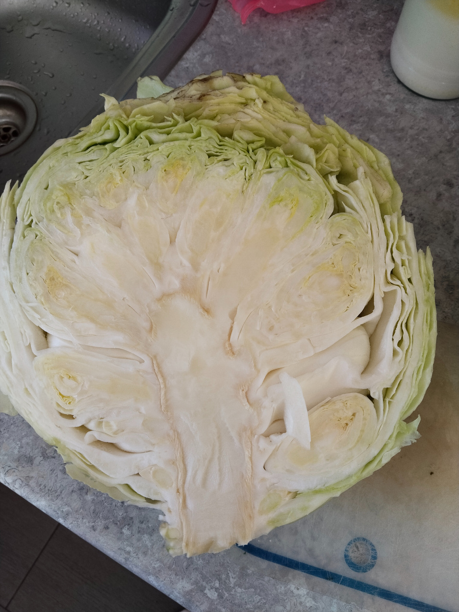 У мамы выросла капуста, в разрезе она такая...