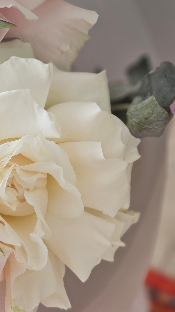 Незаменимое...
Неповторимое...
Всё,что настоящее, уникальное и свободное от предрассудков рамочных убеждений, которые как фундамент для опоры,как способ выживания...можно прожить жизнь в соответствии...а можно в сдаче Источниковой воле наилучшего для себя,через себя. 
   Через сердце, сквозь центр сборки живое течет..такое, которым дышать, ценить и за возможность осязая осознавать это благодарить...любить...любовь в условиях не поместится ;)