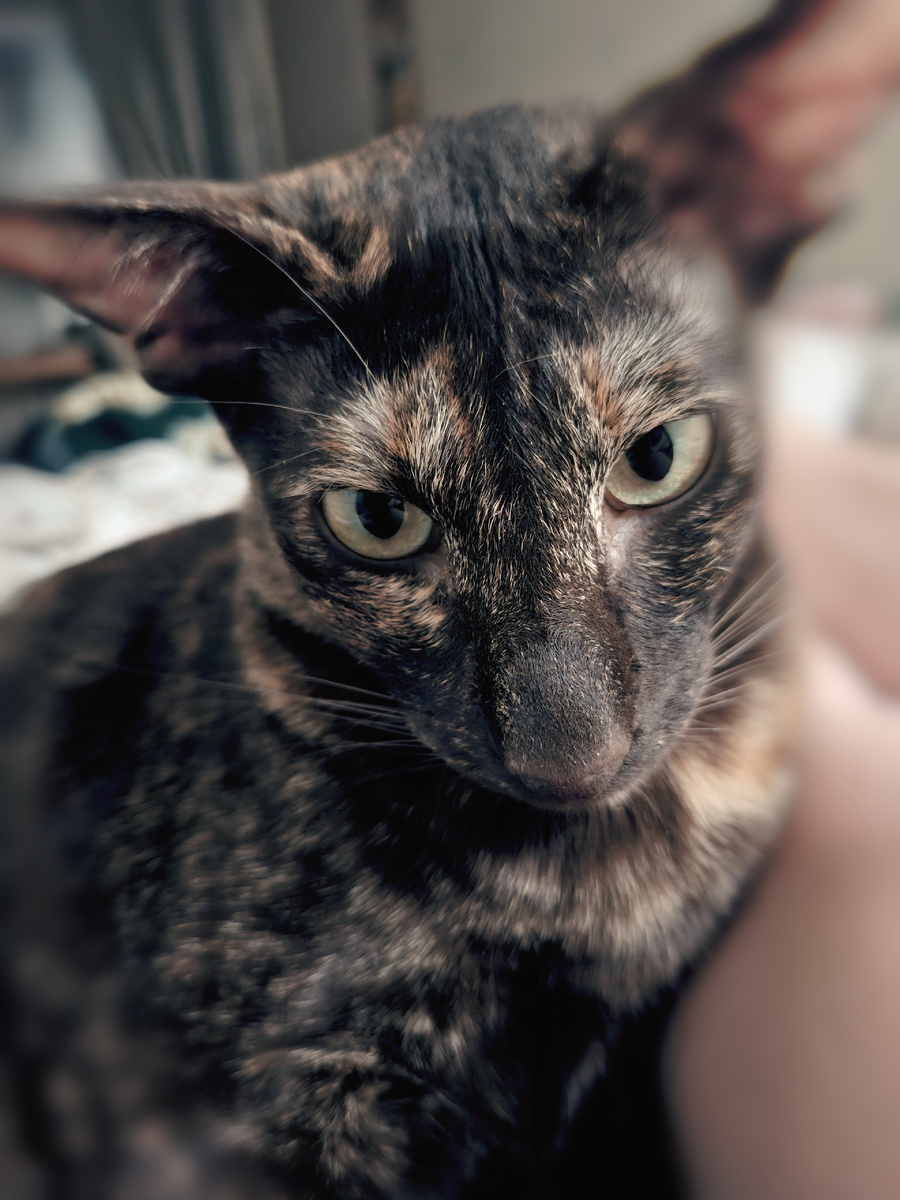 Вялости не будет, мамаша. Другое тебе будет за все твои манипуляции. Ты, таки, пожалеешь. Но будет поздно...