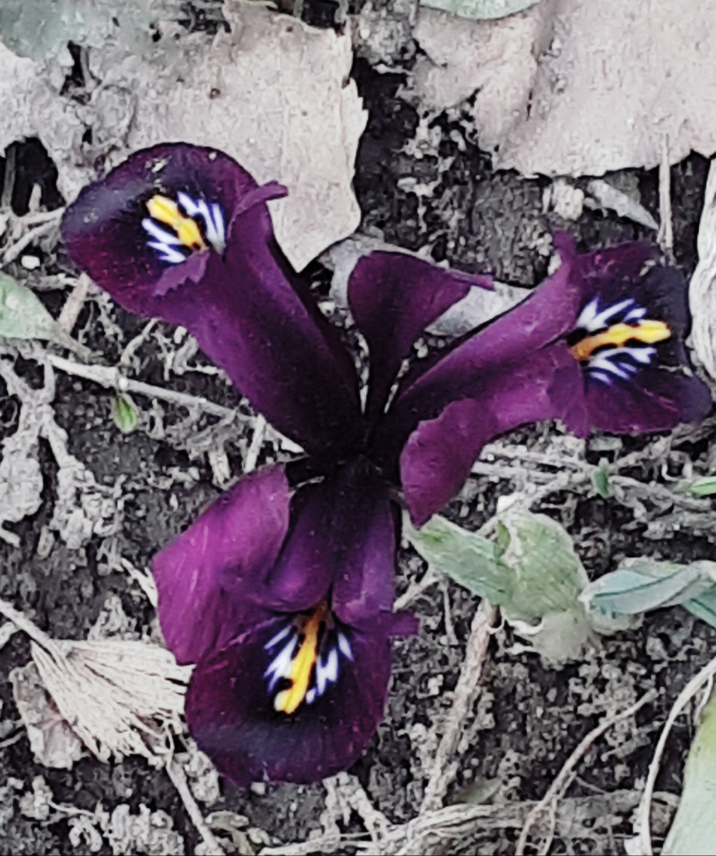 Фото автора 28.03.2026г.