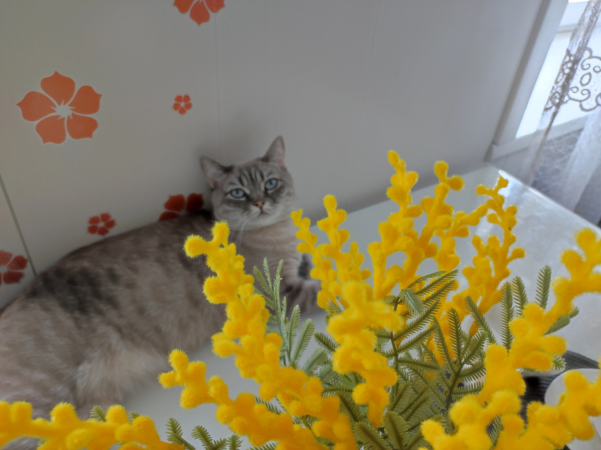 Фото автора 