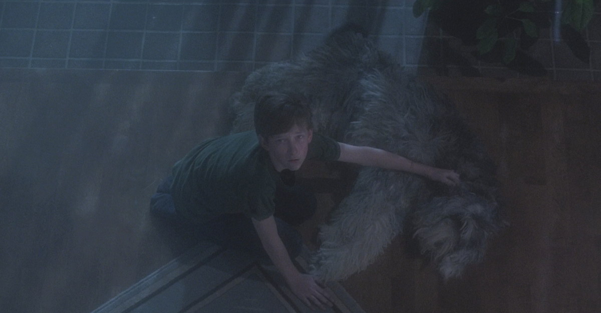 Детки в фильме «Врата» очень быстро сталкиваются с вещами, с которыми и взрослым людям справиться бывает нелегко