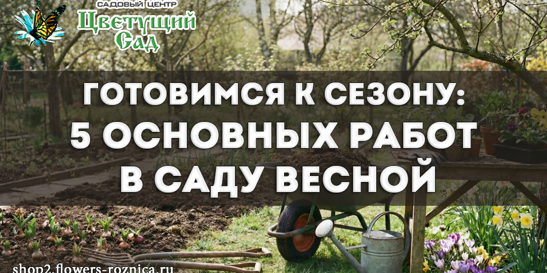Готовимся к сезону: 5 основных работ в саду весной