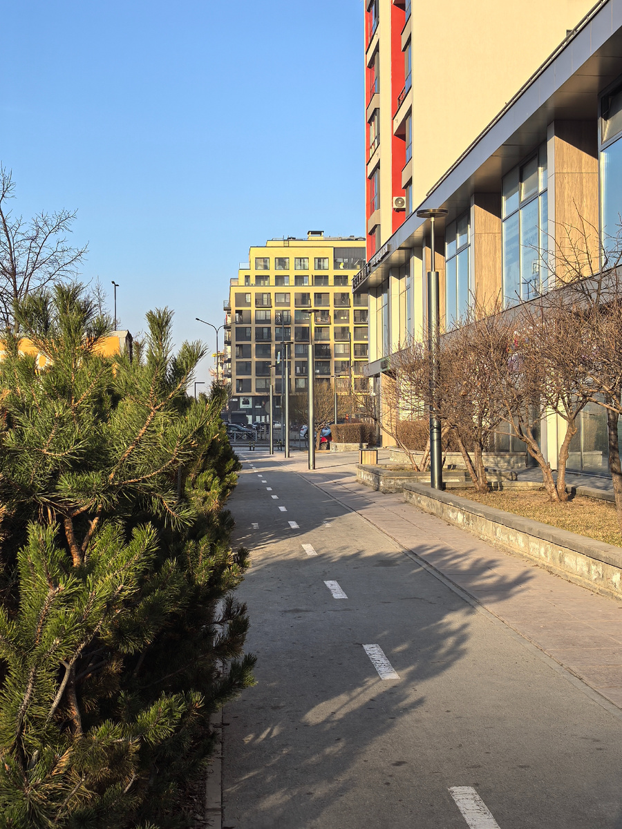 Утреннее пятничное фото. Снега нет совсем.