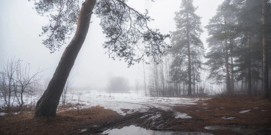 Весенние туманы