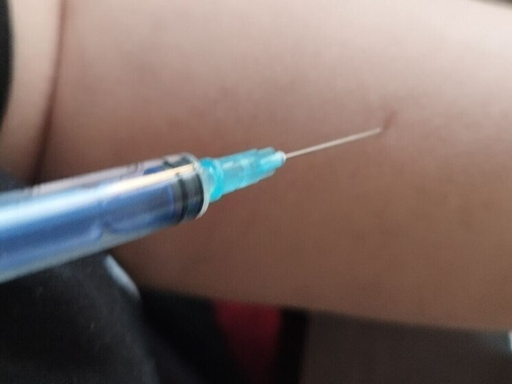     Кровососы этого вида не смогут прижиться в средней полосе. Фото: Архив МК в Великом Новгороде