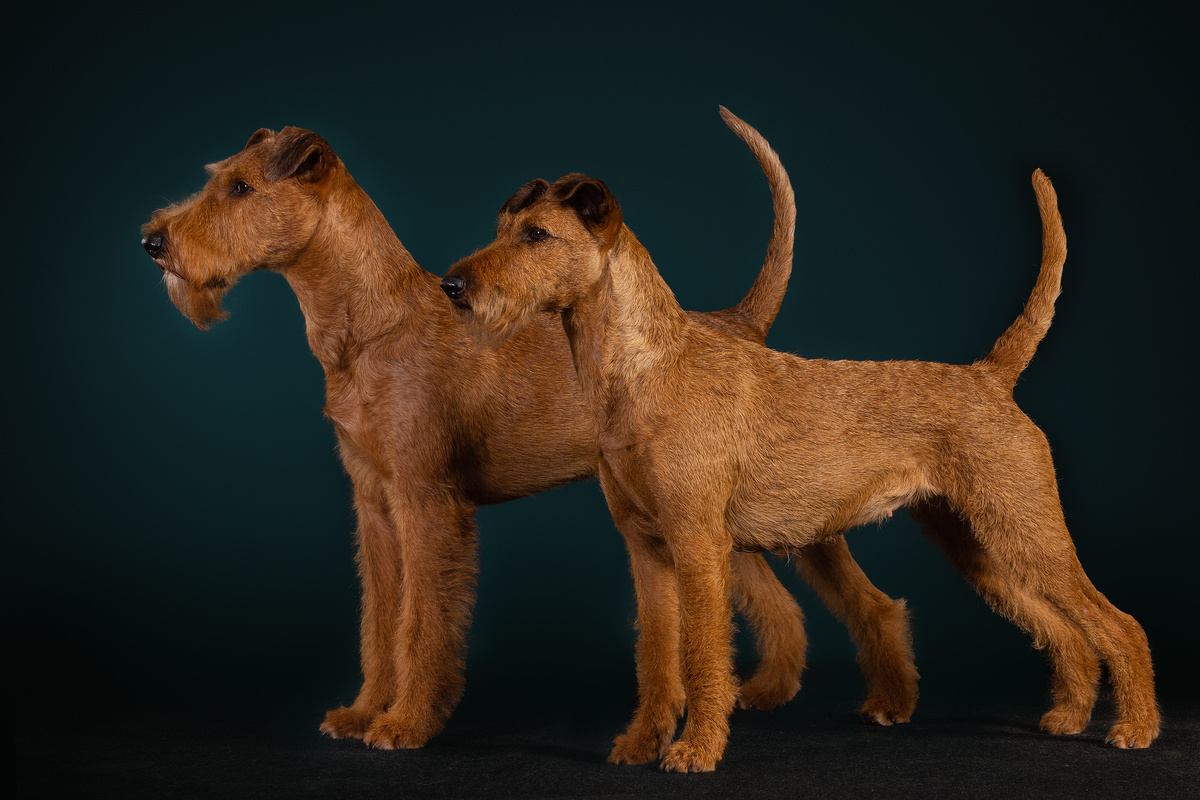 Счастливые родители 