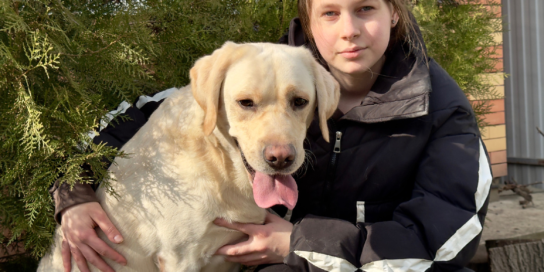Весна, солнце, прогулки… И опасность, о которой нельзя забывать 🌿🐾