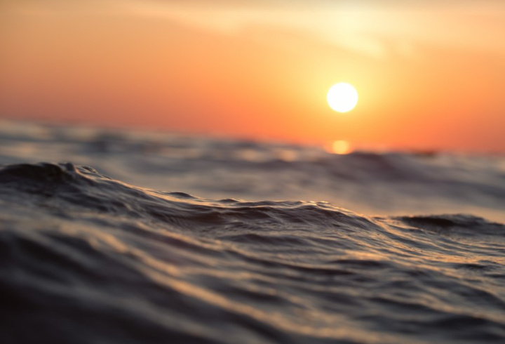 фото: pxhere.com