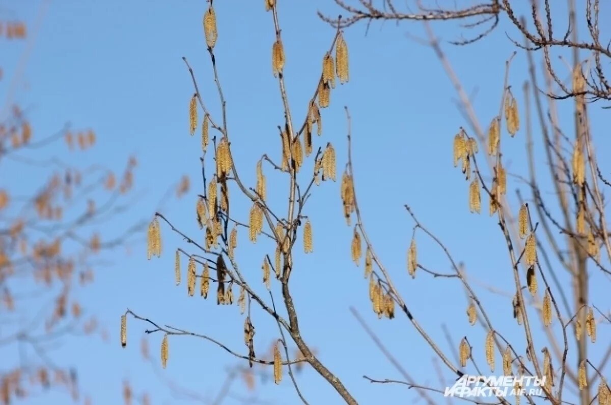    Православные отмечают день памяти Марии Египетской 29 марта