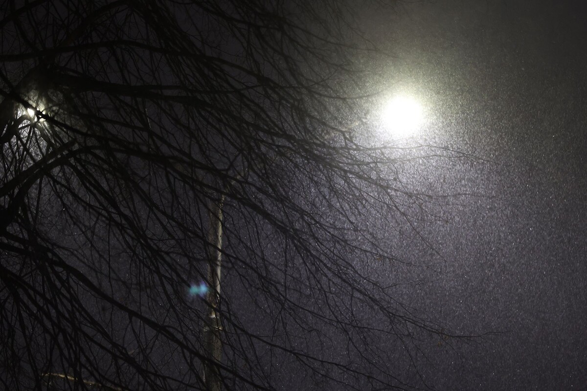  © Павел Орловский, Times.by