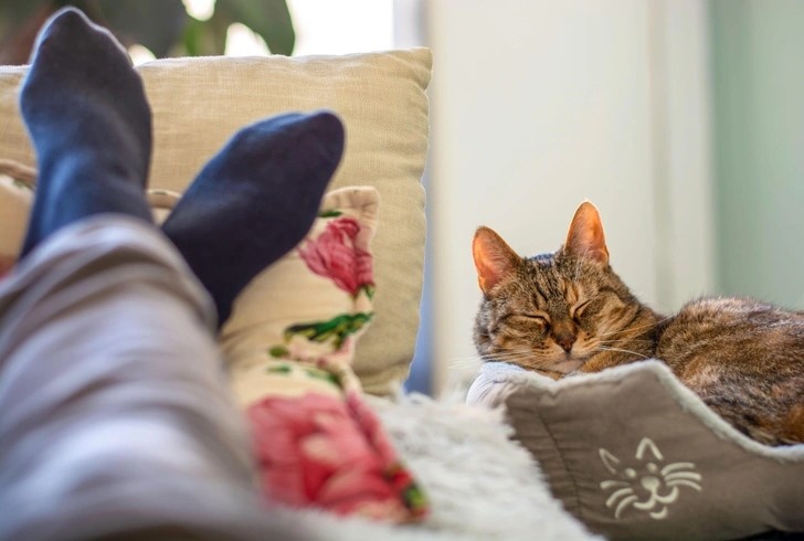 Источник - woman.ru