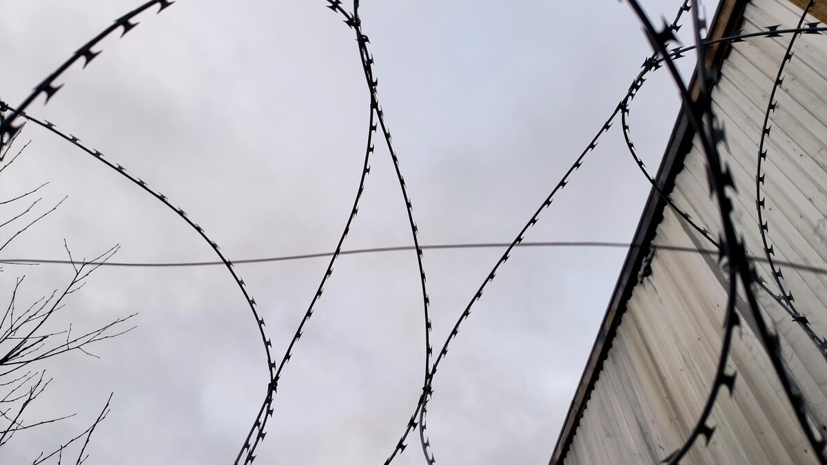    Фото: Maksim Konstantinov/Global Look Press