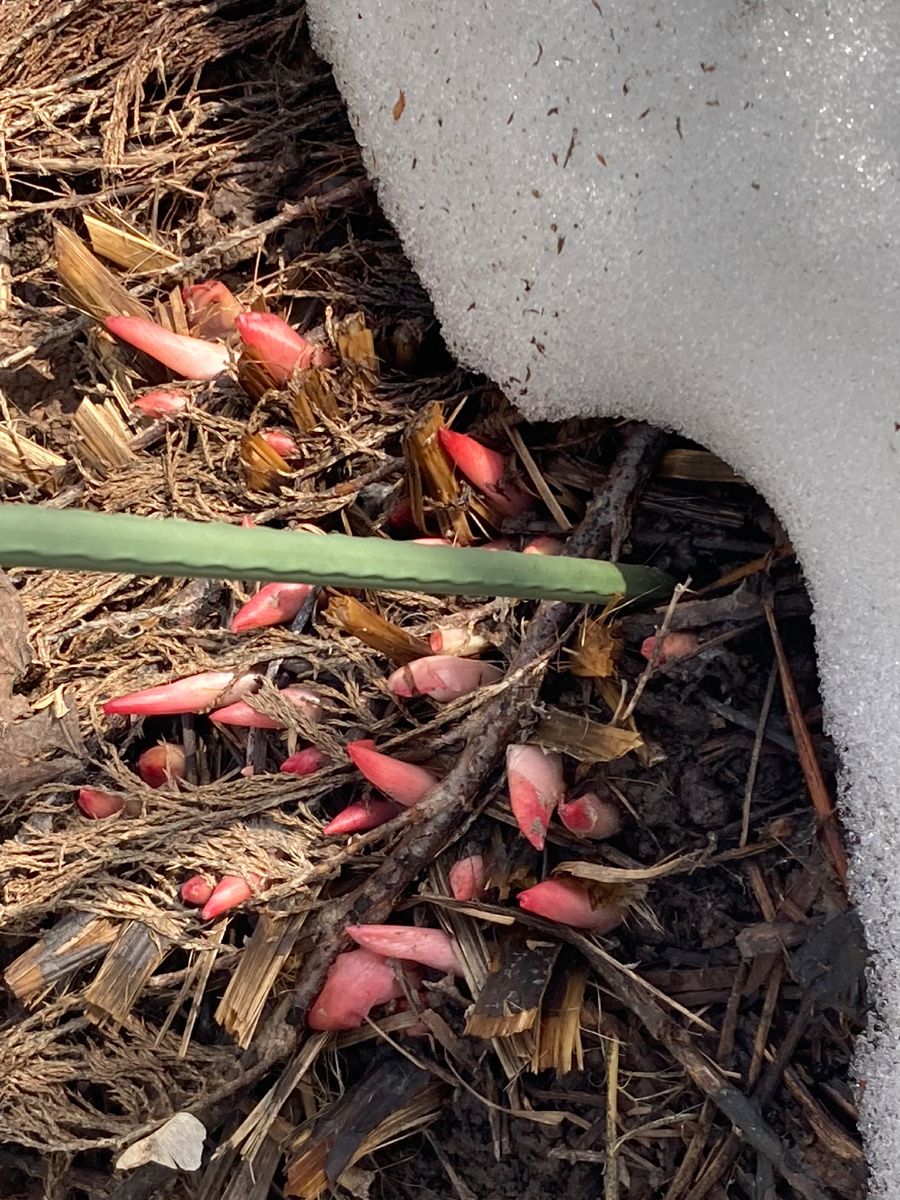 Не все кстати, некоторые еще глубоко спят.