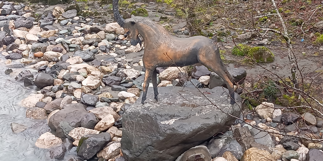 Ситуация без понимания