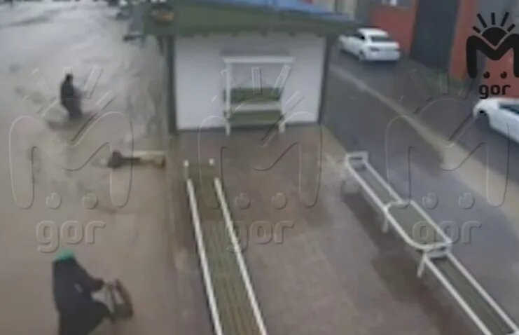    фото: телеграм-канал Mash Gor.