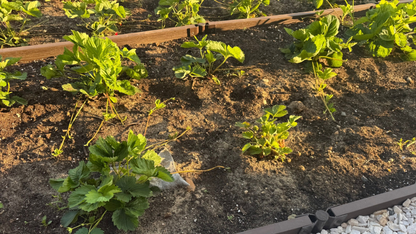    фото smilekaluga.ru