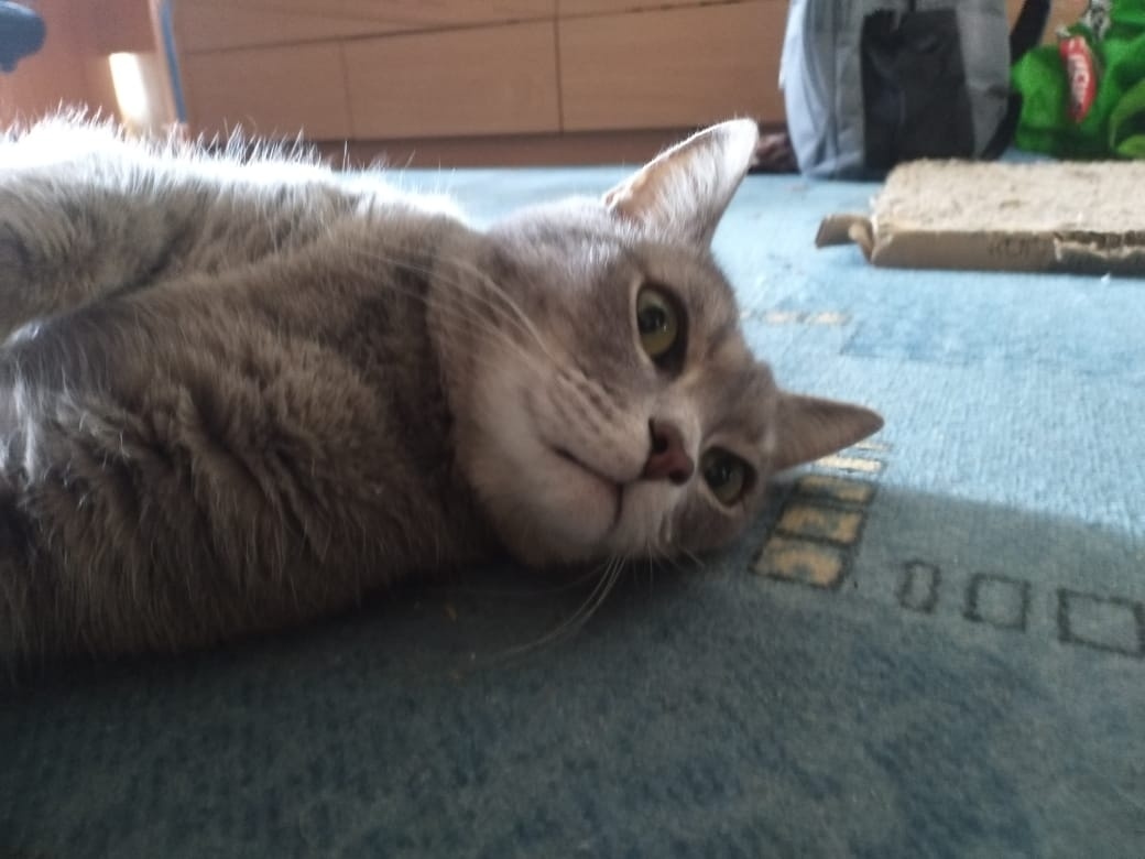 Такое же у меня было лицо, когда я узнала