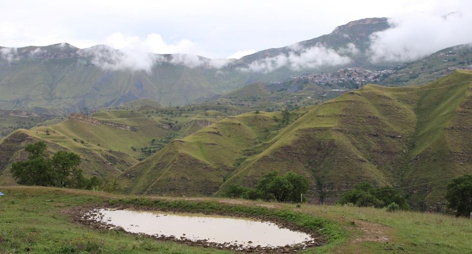    Maksim Konstantinov/Global Look Press / www.globallookpress.com