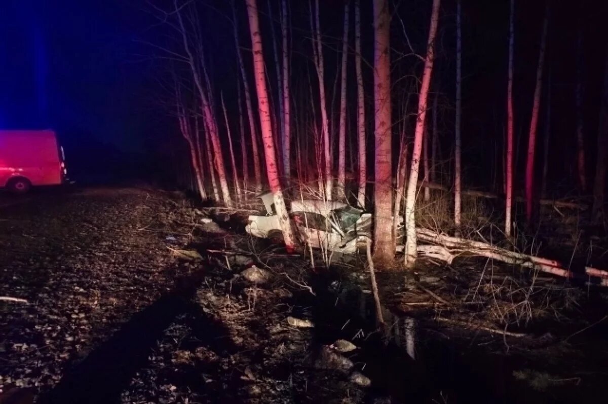    Девушка-водитель без прав врезалась в дерево под Снежинском, погиб пассажир