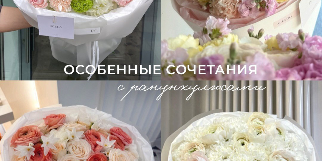 Цвета Цветов: Цветовая палитра ранункулюсов: как выбрать свой идеальный оттенок?