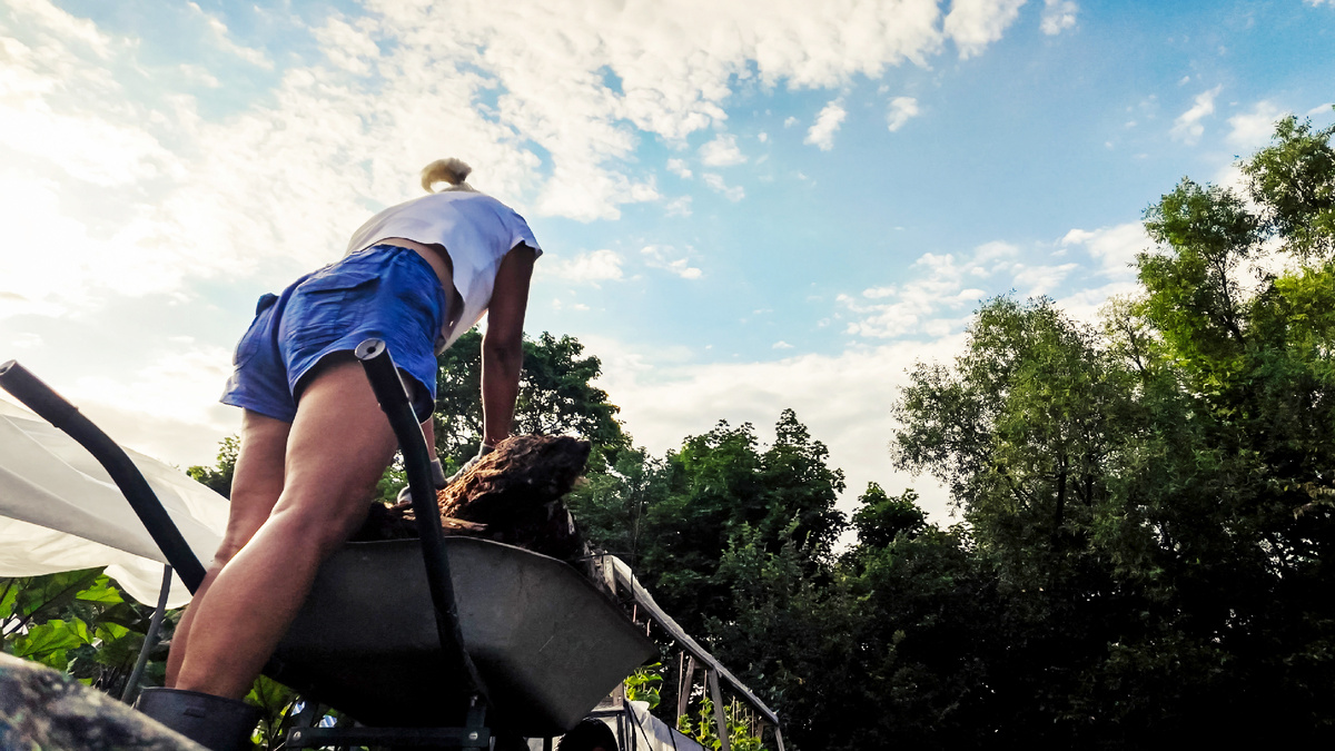 Создание органической грядки очень непростая работа