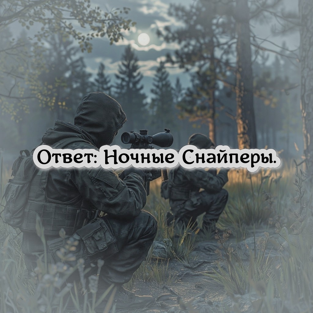 Ночные снайперы