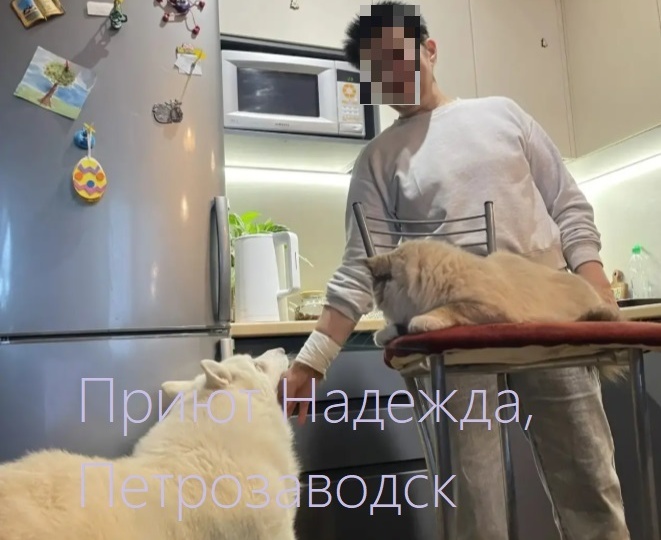 Иней теперь счастливый обладатель собственного дома