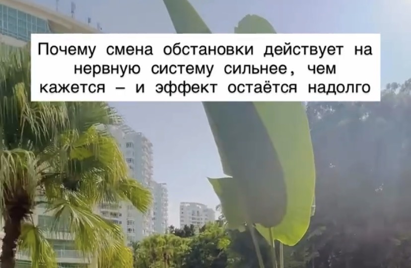 Почему смена обстановки действует на нервную систему сильнее, чем кажется — и эффект остаётся надолго