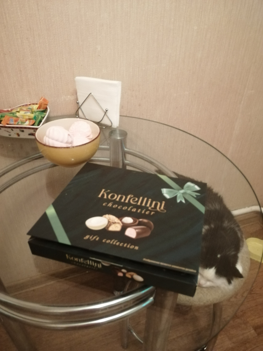 Сладкое и Лизок на своей табуреточке. 