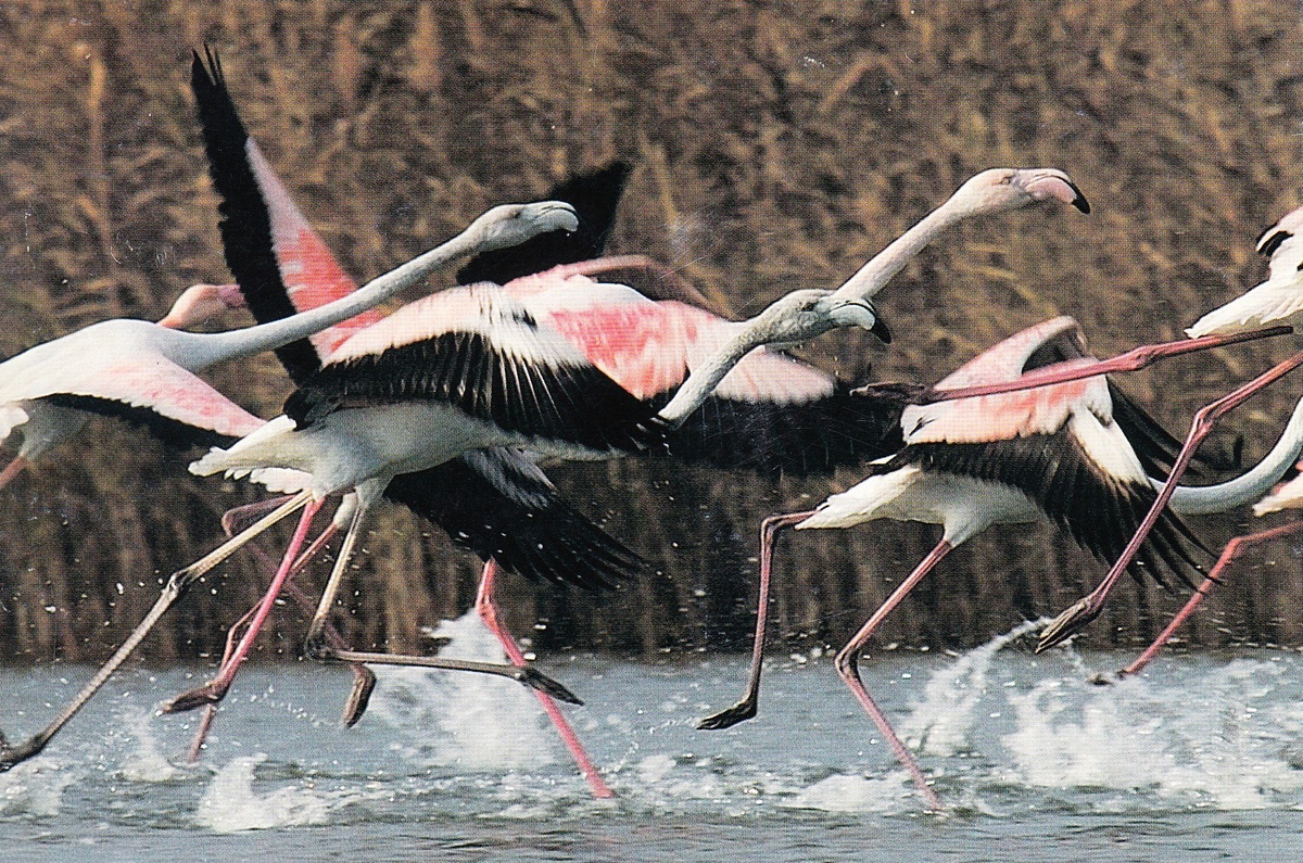 Фото иллюстративное