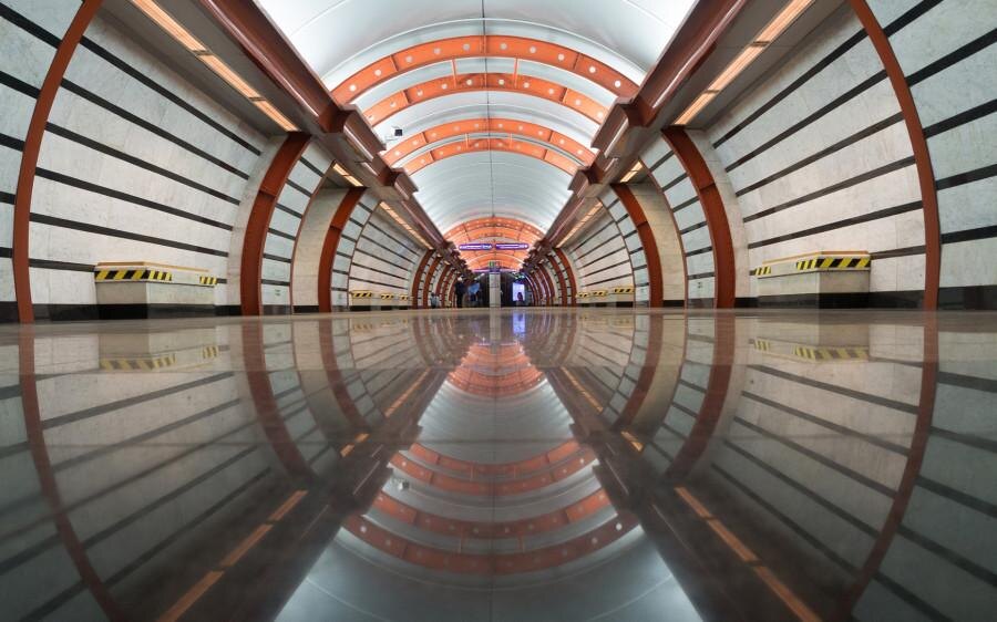    Фото: Shutterstock