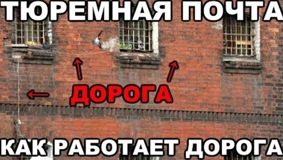 из интернета