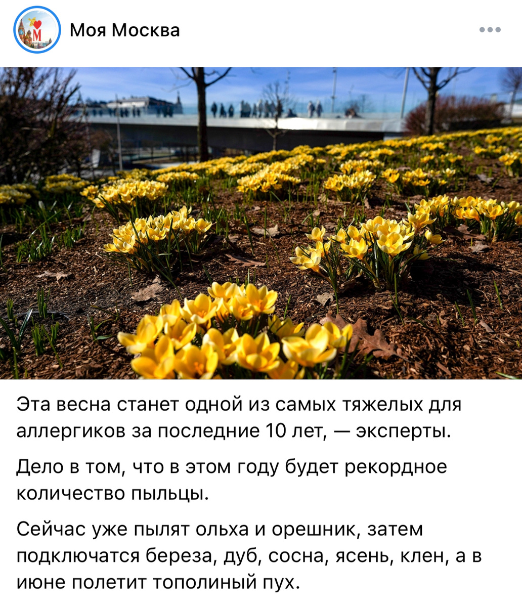 Паблик «Моя Москва»