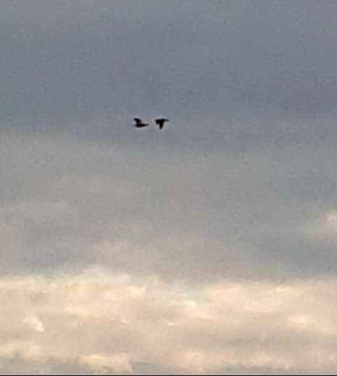 Фото автора 28.03.2026г.