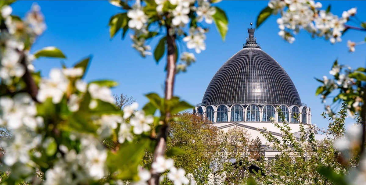   Фото: пресс-слудба ВДНХ