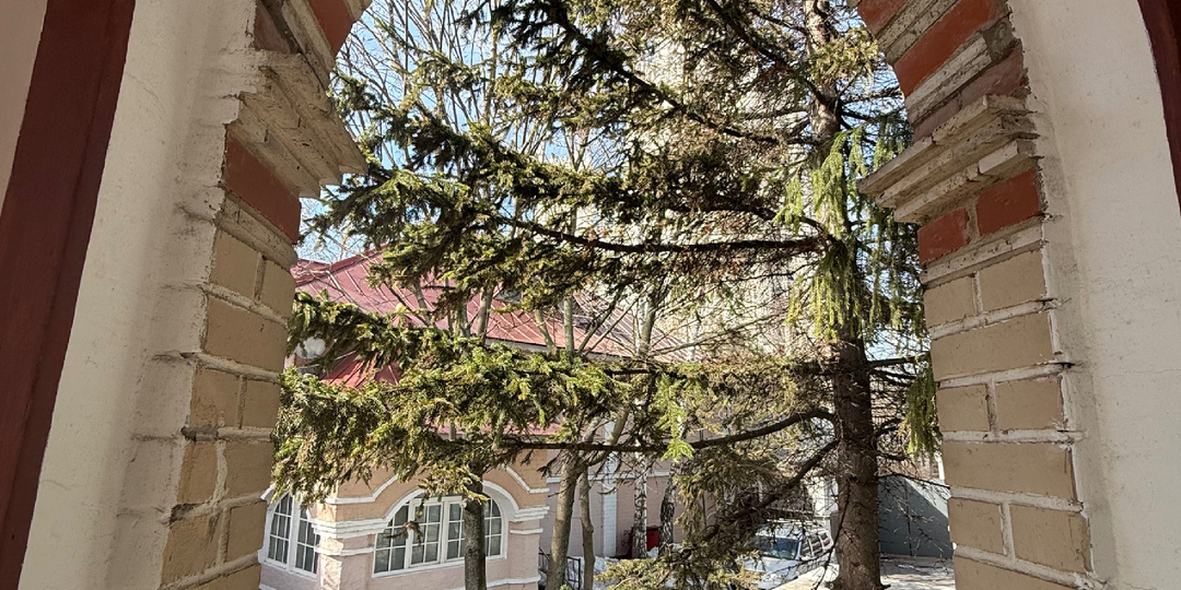 Обеденный перерыв с пользой. Афонское подворье.