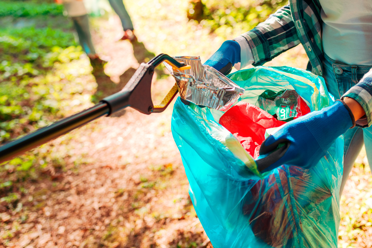    Фото: Stock-Asso / Shutterstock.com
