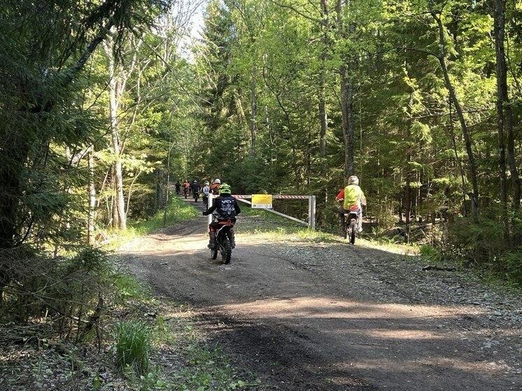     Фото: архив МК в Калининграде.