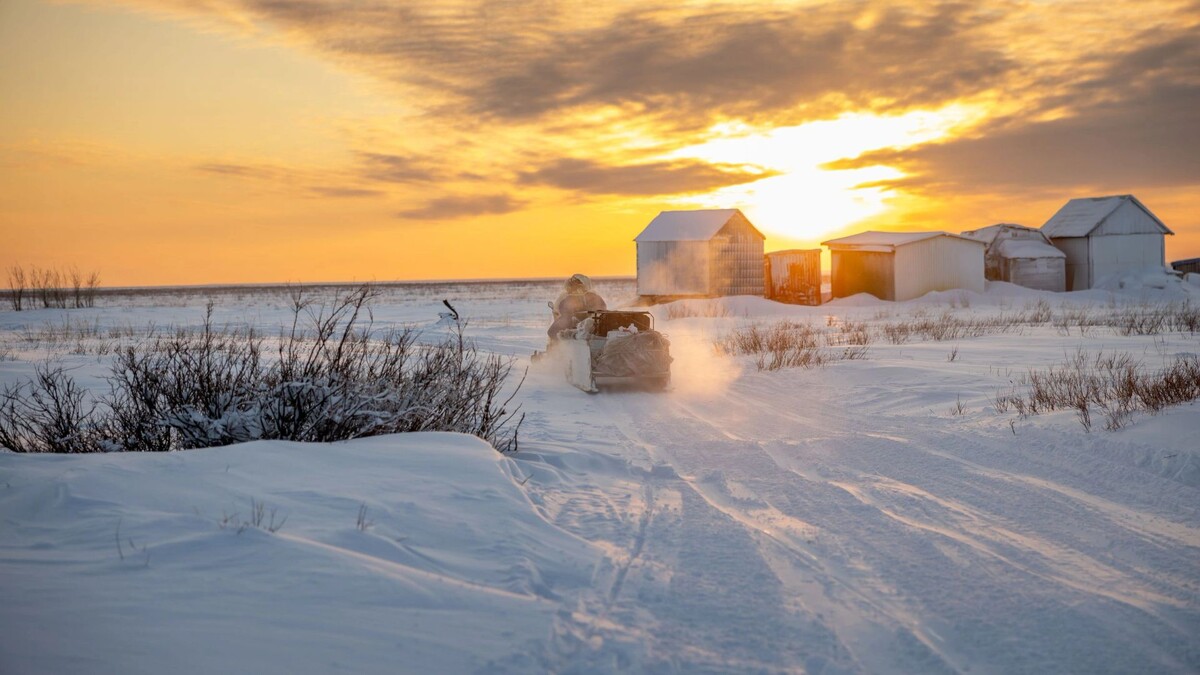    Фото: Федор Воронов / «Ямал-Медиа»