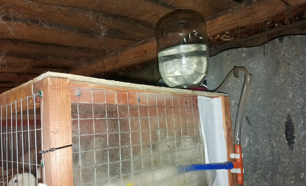 фото из личного архива