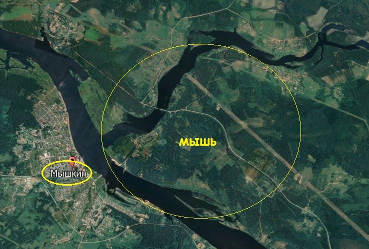 Устье реки Юхоть и река Волга "рисуют" на карте "голову мыши".
