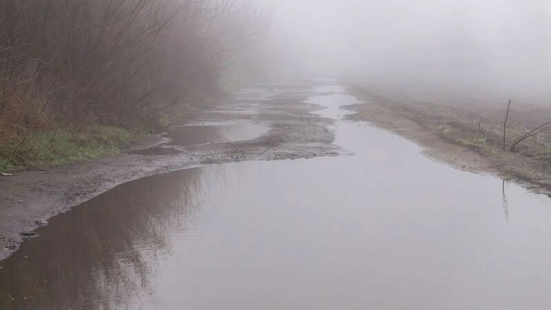    Фото: Adam bartosik/Shutterstock/Fotodom