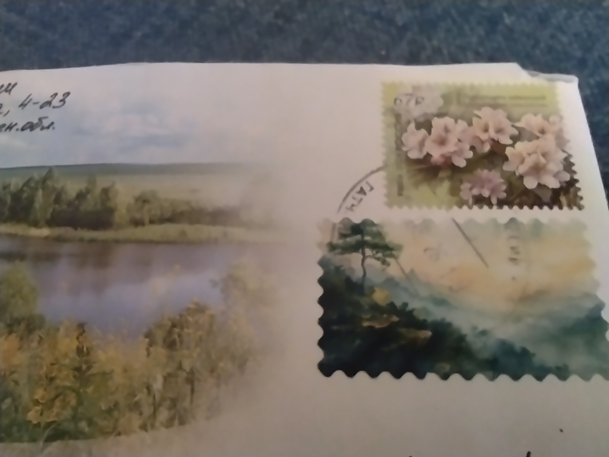 Затейница Липушка - марки-то какие нашла