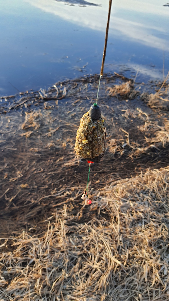 Тверская оснастка.